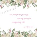 브라운포레