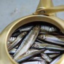 영동어죽 이미지