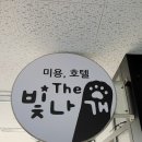 더 빛나개 이미지