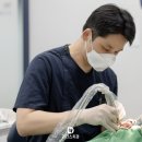 가지런e류치과교정과치과의원 | 과천 아랫니교정, 단독으로 가능할까? -전문의 답변