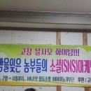 임성규농장 이미지