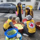 보은2메추리농장 | 보은군 자원봉사 이어받기 구병산 적십자 봉사회