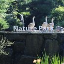 스파밸리 이미지