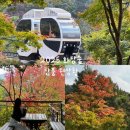 상황 | 2025 화담숲 티켓팅 성공 | 화담숲 단풍 현상황(2025.10.25) 후기