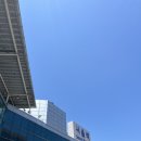 태평1동 행정복지센터 | 당일치기 대전 야구 원정 여행 (태평소국밥, 슬리피타운 카페, 성심당, 한화생명볼파크)
