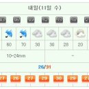 내일 날씨와 싸인볼 배포방법!! 그리고 kbs에서 중계한대요 이미지