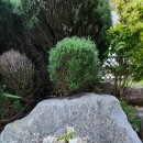 에그리나 이미지