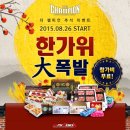 피닉스다트 이미지