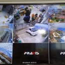 대주농장3 이미지