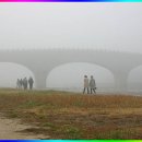 사랑의 다리 이미지