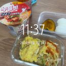 W36-W39 : 몰아쓰는 9월 일상 (feat. 올리비아로드리고 내한공연, 결혼식🤍)