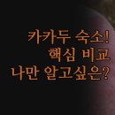 크로커다일 | 여행 숙소 추천 | 오로라 카카두 로지 후기 | 머큐어 크로커다일 호텔 장단점 | 나에게 맞는 숙소는?
