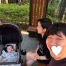 스카이세탁 | 에그 제트플러스, 스카이 유모차 실사용후기 및 하늘이네 마켓 최저가 핫딜 공구일정 링크