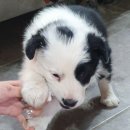 양지농장1 이미지