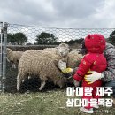 일석목장 | 제주 가족여행 아이랑 갈만한곳 삼다마을목장