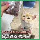 [냥품리뷰] 고양이 동결건조 간식추천! 우키우키 캥거루 고기 (Feat. 반려동물 커뮤니티 위트)
