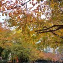 보미플라자 이미지