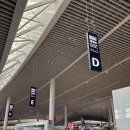 디디인터내셔널 이미지