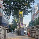(주)무병장수테마파크 | 포트빌리지 부산 2026, 부산축제 방문후기 야시장 먹거리