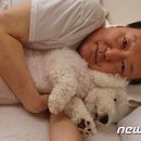 돼야지 - 서구 원창로229번길 1-7 | 돼야지