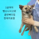 바른길동물병원 이미지