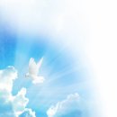 2026년 10월 16일 연중 제28주간 금요일 제1독서 (에페 1,11-14) 이미지