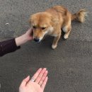 인우목장 이미지