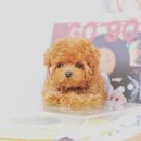 함께 있어줄개 이미지