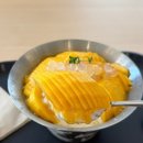 카페 만월경 (영통신동점) | 수원 신동 카페거리 맛집 공간상점 신동점 망고빙수 솔직후기