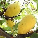 유림세탁 이미지