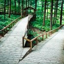 청태산자연휴양림 이미지