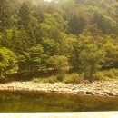 전나무목장 이미지