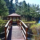 국립희리산해송자연휴양림 이미지