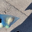 남원농업협동조합 | 전북 남원 1박2일 여행 총정리 1일 차 / 2025 남원...미식탐험단 4차 고광자의 김장김치 체험 클래스 후기