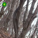 장고개공원 이미지