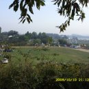 동네농장 이미지