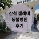 셀레네 동물병원 이미지