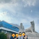 산방마을회관 이미지