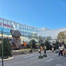 톰보이롯데백화점 - 안산시 단원구 고잔1길 12 | 버버리 목도리 구매하러 동부산 롯데아울렛, 롯데백화점 광복점 들린 후기