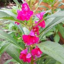 만해농장 이미지