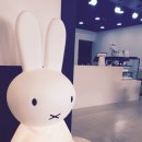 달빛카페 Daum카페