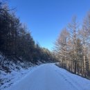 오투 | 강원도 영월군 정선군 태백시 만항재 오투전망대 방문 후기