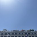 정영선수학 | 종로 나들이🚶‍♀️_공연 <일무>, 전시 <정영선: 이 땅에 숨 쉬는 모든 것을 위하여>