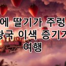 꿈속여행 | 인천 딸기왕국 이색 증기기관차 여행: 천장에 딸기가 주렁주렁! 꿈같은 기차여행 후기 &amp; 정보