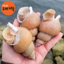 더대박 이미지