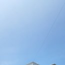 경남동물병원 인공수정소 | 경남고성 카페공룡구역 후기 | 루프탑 포토존·등심돈까스·라이브까지 한 번에 즐기는 가족 나들이 코스