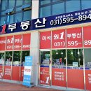 알파오메가 마석점 이미지