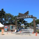 태안별빛오토캠핑장 이미지