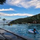 여수 맛집, 소금집, 돌문어상회, 수평선횟집 테이크아웃 후기