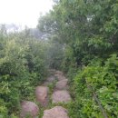 남우정비 이미지